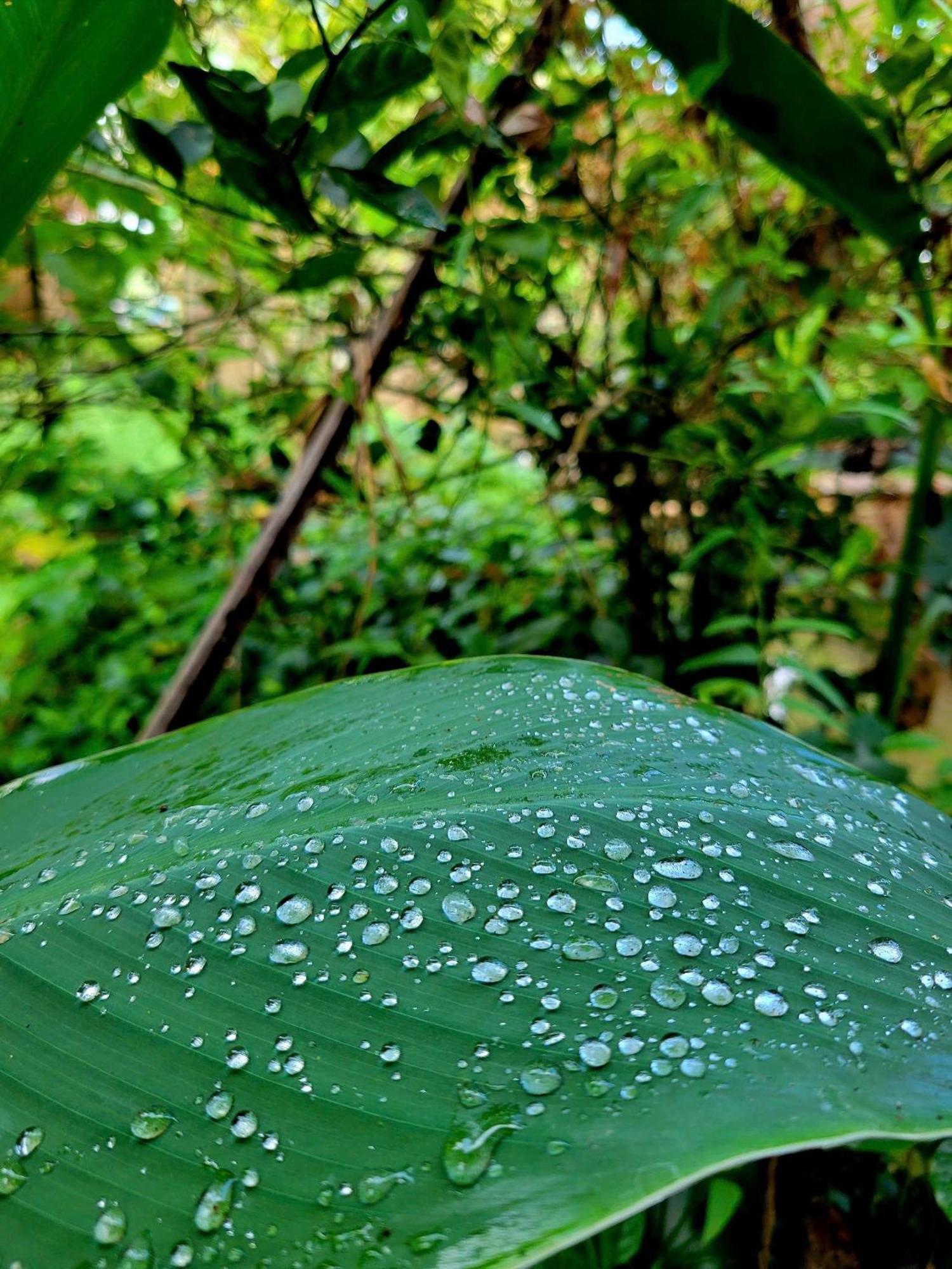 Nong Trai Thanh Thoi Ben Tre Zewnętrze zdjęcie
